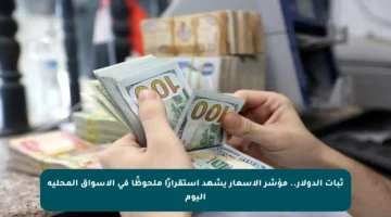 ثبات الدولار.. مؤشر الأسعار يشهد استقرارًا ملحوظًا في الأسواق المحلية اليوم